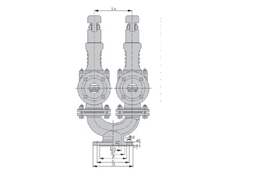 A37H-W双联弹簧式蒸汽安全阀,压力材质:PN16C/25,介质:水、油品、气、蒸汽