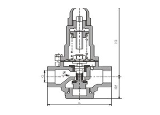 Y110X弹簧减压阀,压力材质:PN16,介质:水、油品、气、蒸汽