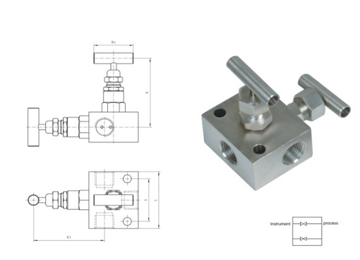 SSV2NVF8美标内螺纹二阀组,压力材质:PN2.5、PN4、PN6.4、PN16、PN32,介质:水、油、气等腐蚀性与非腐蚀性介质等