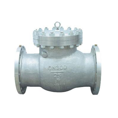 Hy44F-W不锈钢氧气止回阀,压力材质:PN16P/25P/40P,介质:水、蒸汽、油品、硝酸、醋酸等